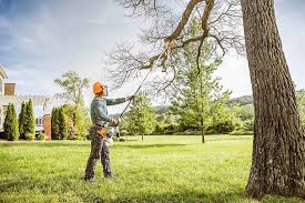 Best Emergency Tree Removal  in Long Beach, NY