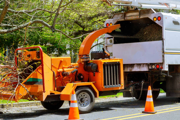 Best Lawn Grading and Leveling  in Long Beach, NY