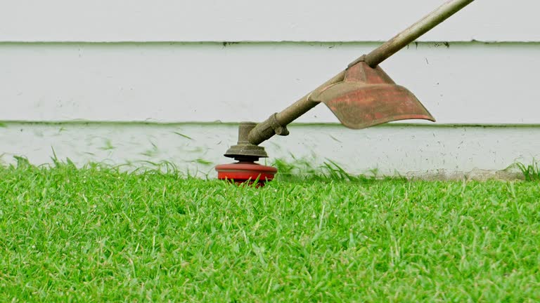 Lawn Drainage Solutions in Long Beach, NY